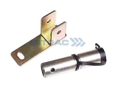 BĀKUGUNS KRONŠTEINS