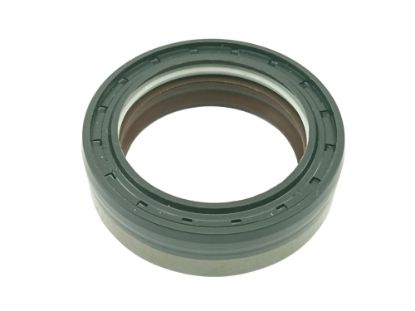 BLĪVSLĒGS 1-33-747-036