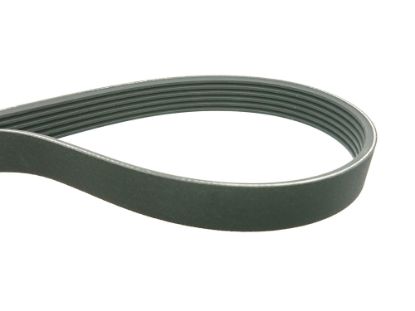 SIKSNA ĢENER. L=1844