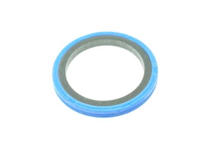 BLĪVSLĒGS/MANŽETE