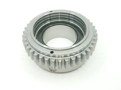 ZOBRATS/GULTNIS ZĀĢA