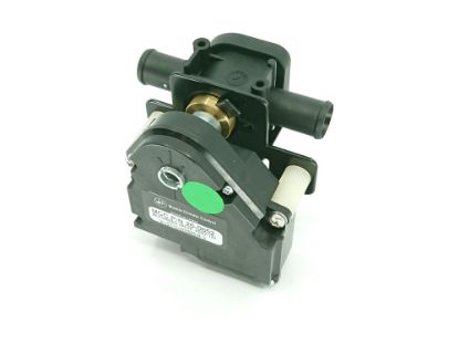 Show details for VĀRSTS VĀRSTS