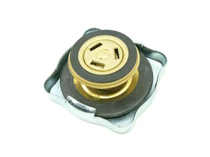 Show details for RADIAT.VĀCIŅŠ RADIAT.VĀCIŅŠ