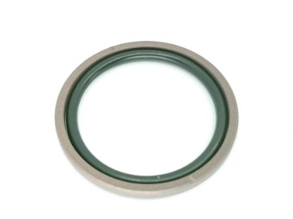 BLĪVE RĀMJA BREMZEI