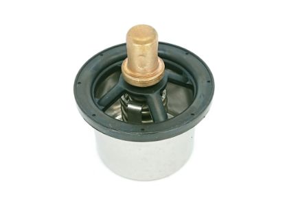 Show details for TERMOSTATS TERMOSTATS