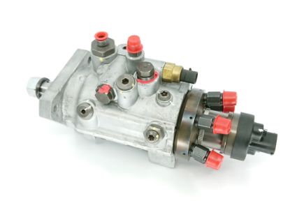 DEGV. SŪKNIS RŪPN.ATJAUN