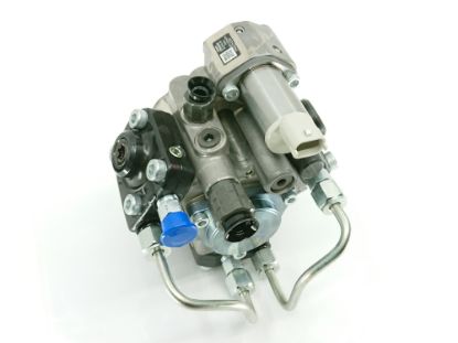 DEGV. SŪKNIS RŪPN. ATJAUN