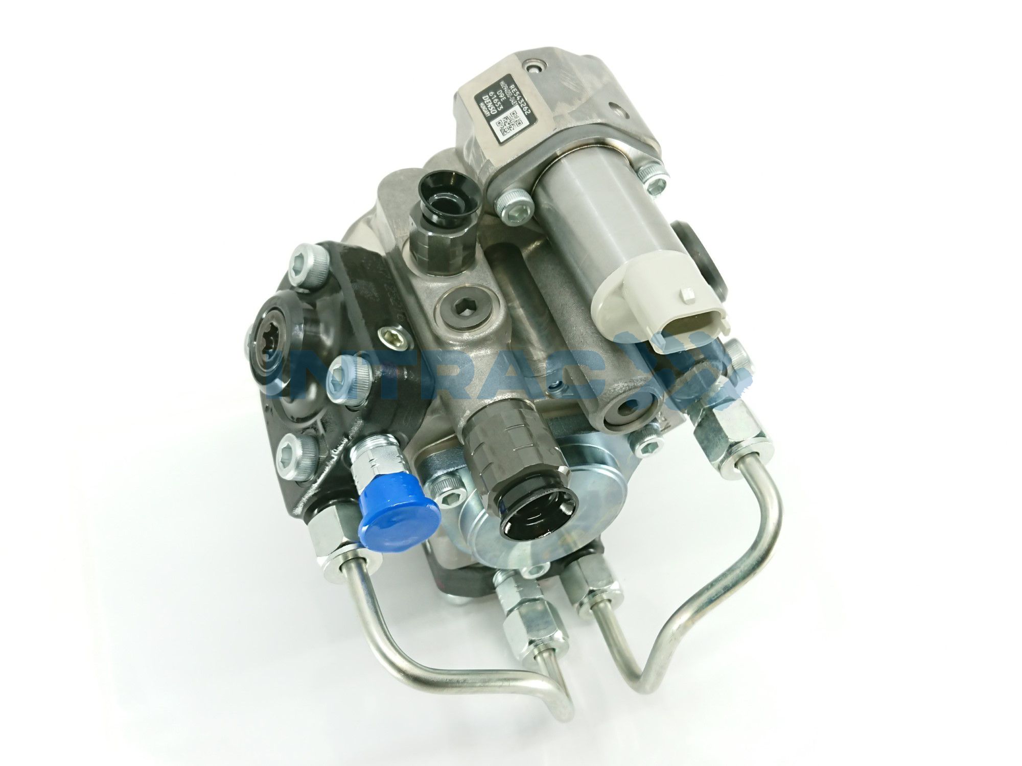 DEGV. SŪKNIS RŪPN. ATJAUN