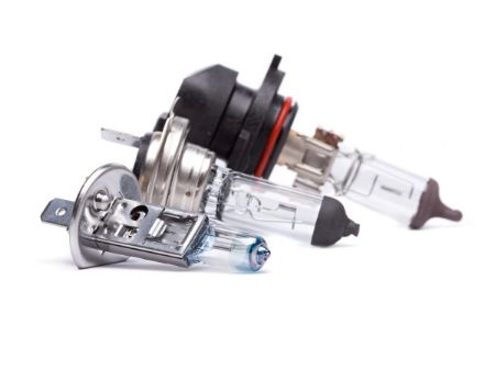 Show products in category Bulbs Picture for category Bulbs