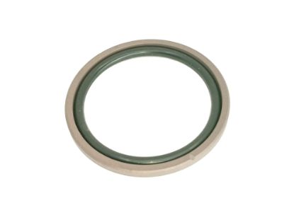 Show details for BLĪVE RĀMJA BREMZEI BLĪVE RĀMJA BREMZEI