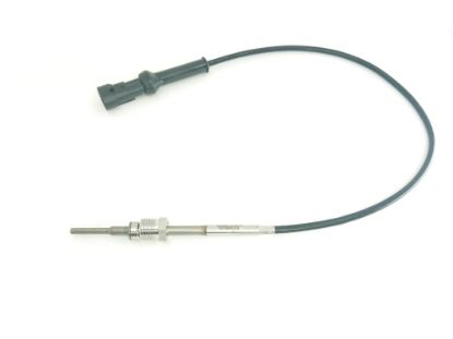 TEMPERATŪRAS SENSORS