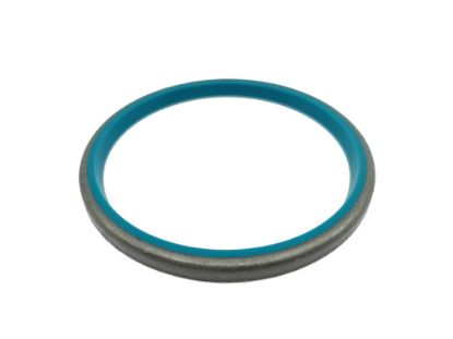 Show details for BLĪVSLĒGS BLĪVSLĒGS