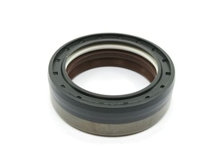 BLĪVSLĒGS 1-33-747-036