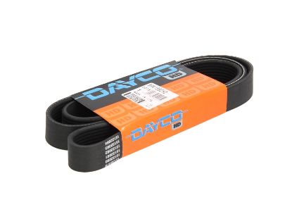 Show details for SIKSNA SIKSNA