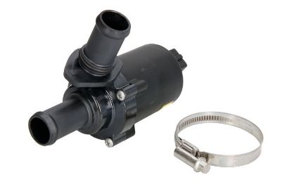 Show details for SŪKNIS, APSILDES CIRKUL. SŪKNIS, APSILDES CIRKUL.