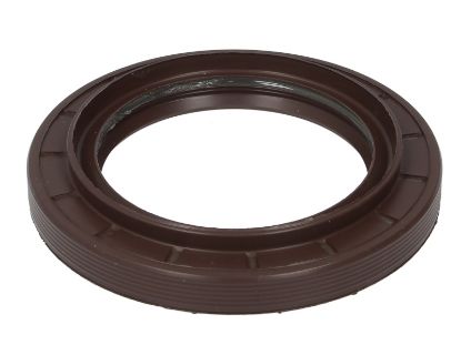 AIZM,TILTA BLĪVSLEGS