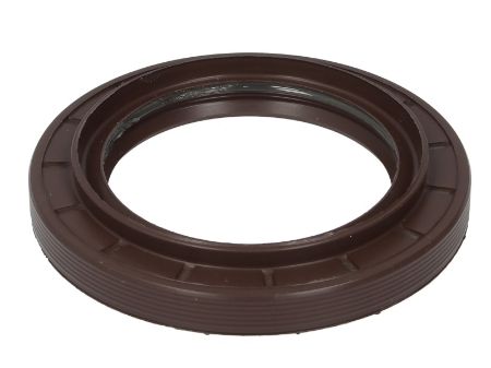 AIZM,TILTA BLĪVSLEGS