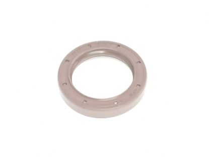 Show details for BLĪVSLĒGS BLĪVSLĒGS