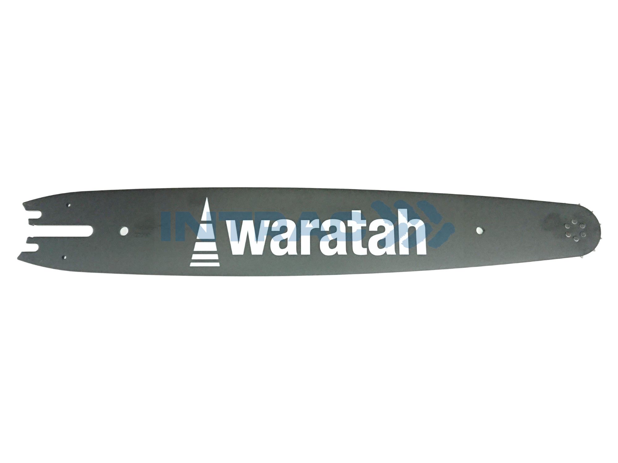 SLIEDE WARATAH 75cm