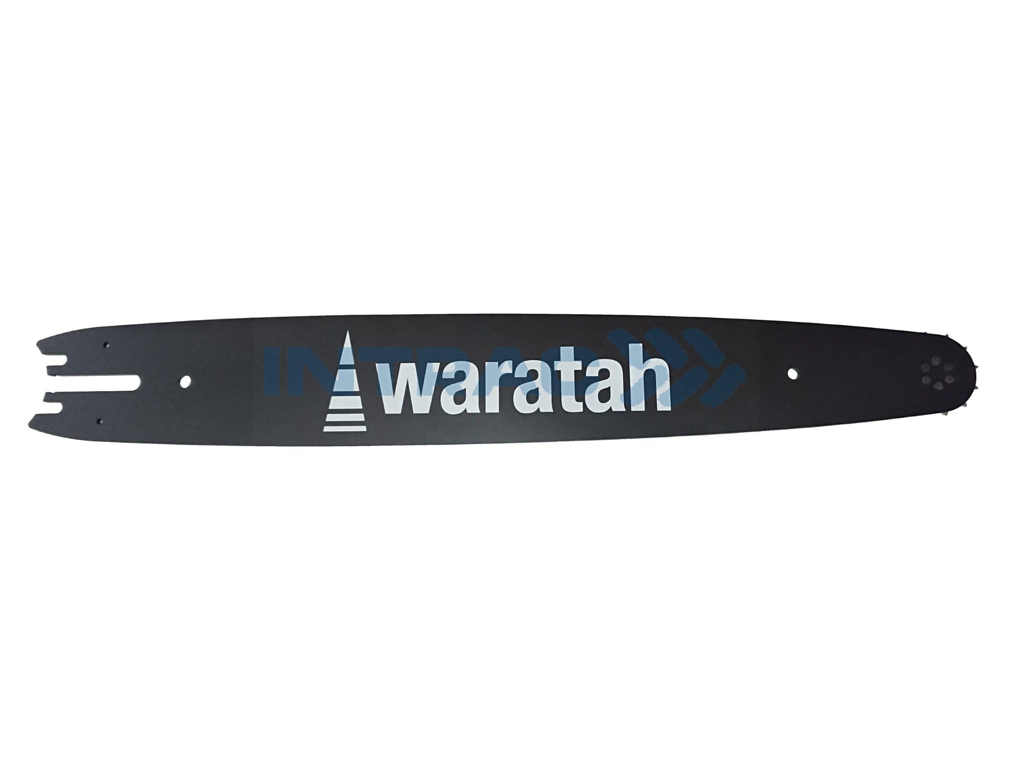 SLIEDE WARATAH 82cm