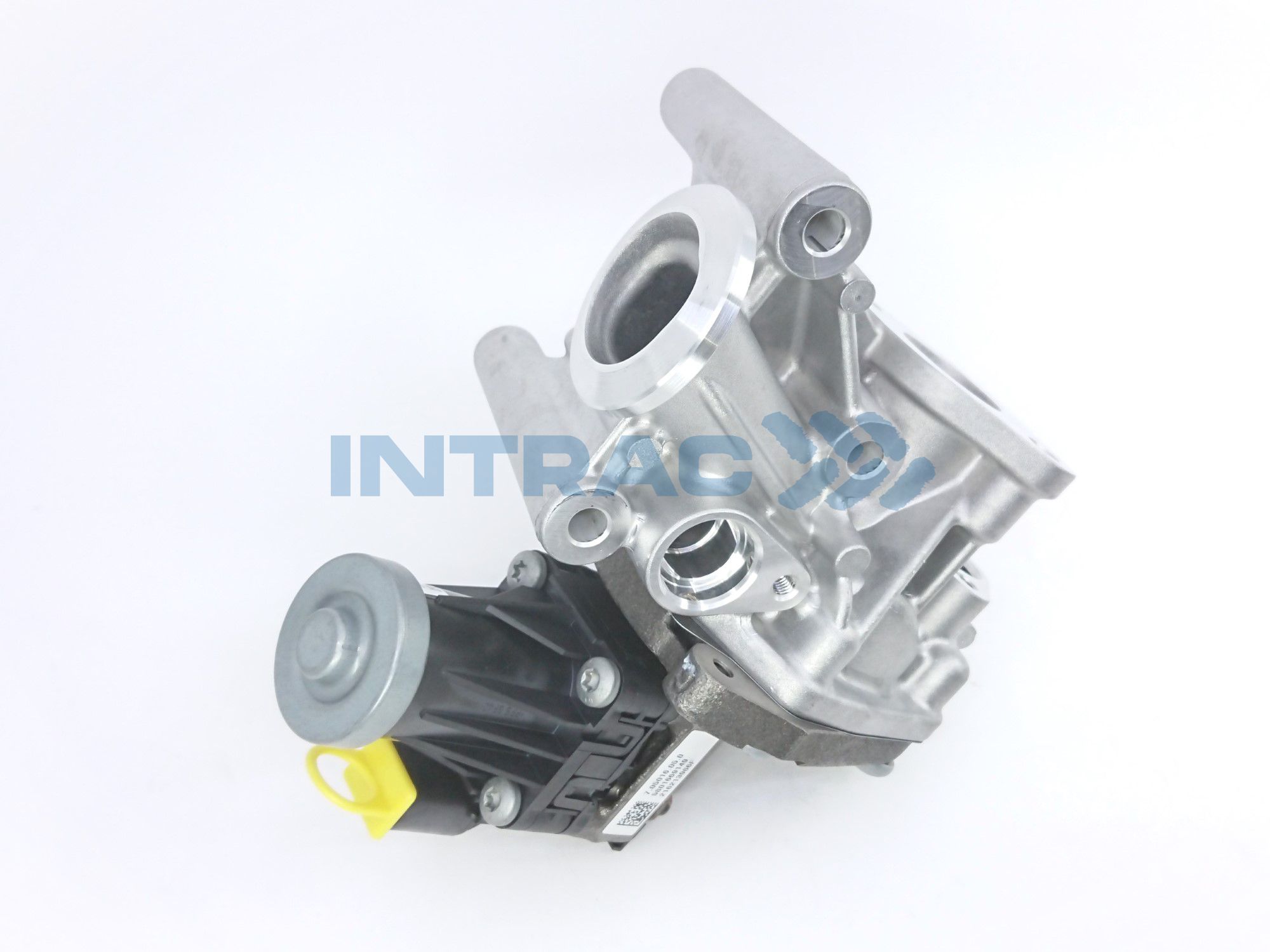 EGR VĀRSTS