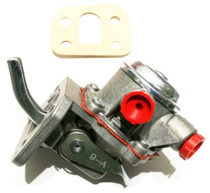 ZEMSPIEDIENA SŪKNIS