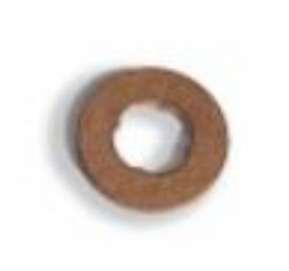 PAPLĀKSNE SPRAUSLAI