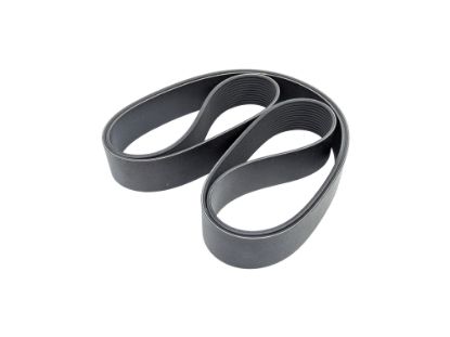 Rādīt detalizētu informāciju par SIKSNA SIKSNA