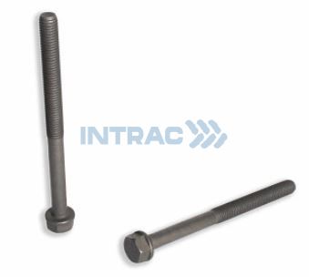 SKRŪVE GALVAS M12x150