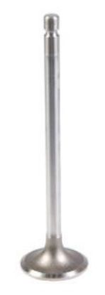 VĀRSTS DZIN. IEPLŪDES STD