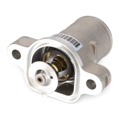 Termostats ar korpusu