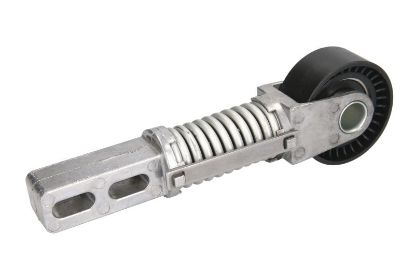 SPRIEGOTĀJS SIKSNAS