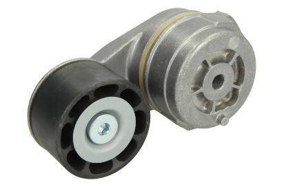 SIKSNAS SPRIEGOTĀJS