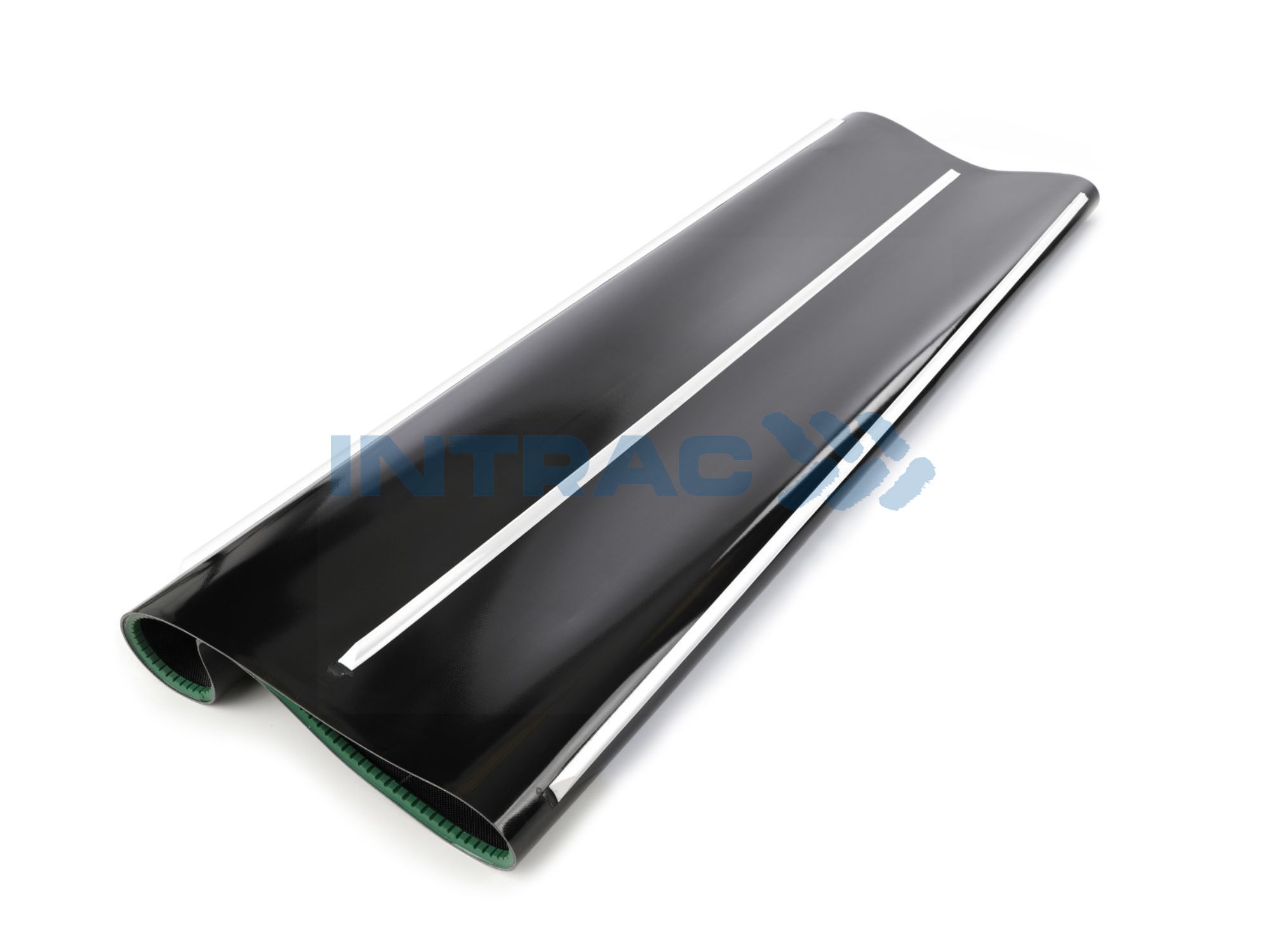 HEDERA LENTE 1462 MM