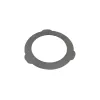 BRAKE PLATE