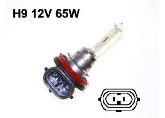 BULB H9 12V 65W