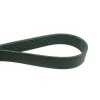 BELT;POLY