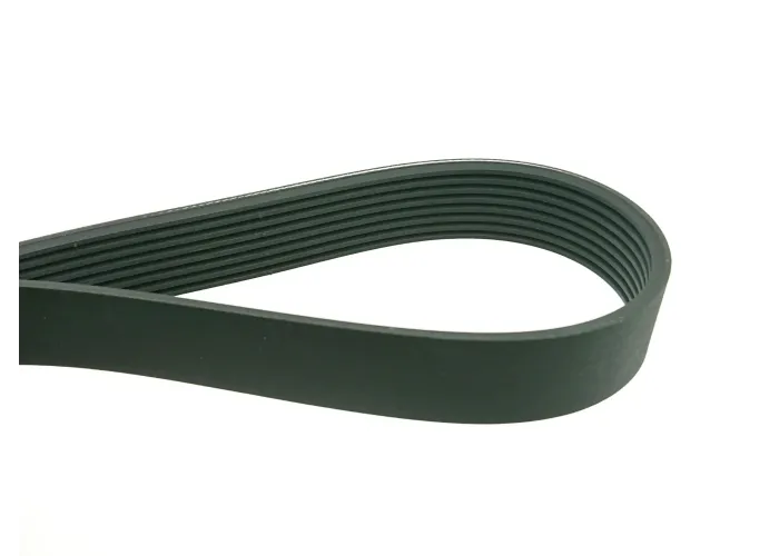 BELT;POLY