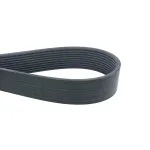 BELT BELT