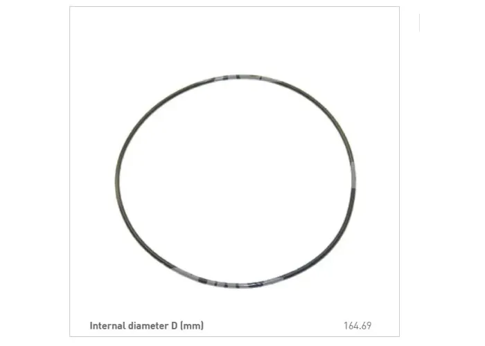 BRAKE RING, 85819720