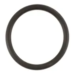 O RING