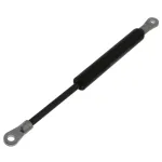 GAS STRUT