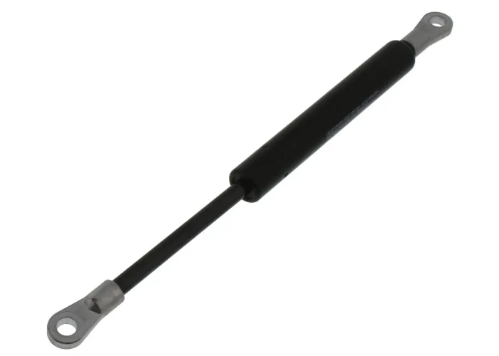 GAS STRUT