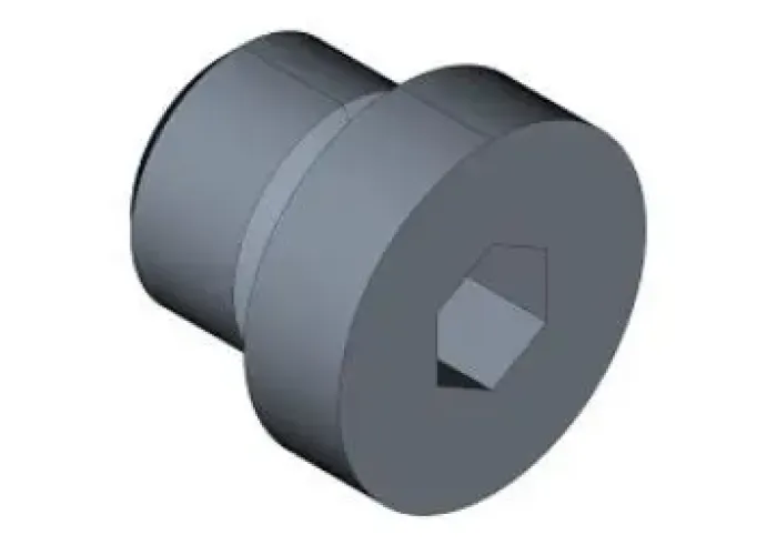 HEX SOCKET PLUG