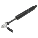 GAS STRUT