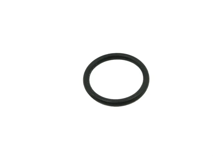 CNH O-RING 272220