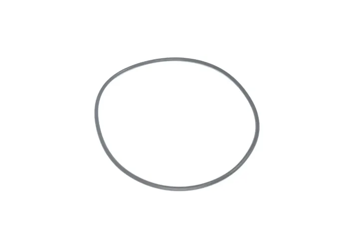 O-RING PO1
