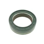 BLĪVSLĒGS 1-33-747-036