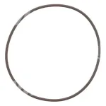 O-RIŅĶIS O-RIŅĶIS