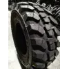 RIEPA 460/70R24